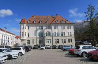 Anlageobjekt in Tiergartenstraße, 17235 Neustrelitz, Büroimmobilie am Schloßpark