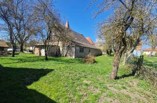 Grundstück zu kaufen in 73485 Unterschneidheim, 1.670 m² sonniges Anwesen in ruhiger Lage