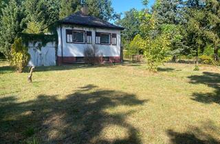 Grundstück zu kaufen in 15834 Rangsdorf, Wundervolles Baugrundstück in Bestlage von Rangsdorf!