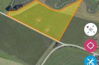 Gewerbeimmobilie kaufen in 91555 Feuchtwangen, Landwirtschaftliche Ackerfläche - Flurstück 136 "An der Wörnitz, Landwirtschaftsfläche"