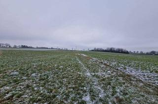 Gewerbeimmobilie kaufen in 73479 Ellwangen, Standort sichern: Gewerbegrundstück für Expansion