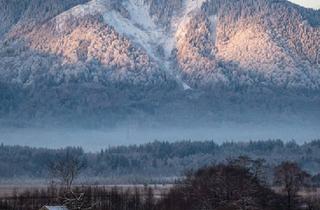 Haus kaufen in 81475 München, München - Provisionsfrei* Wohnen & Arbeiten München - Garmisch-Partenkirchen