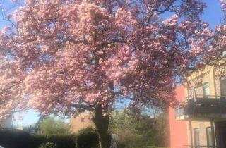 Wohnung kaufen in Am Dreieck 17, 41564 Kaarst, Kaarst - Altersgerechtes Wohnen im Herzen von Kaarst