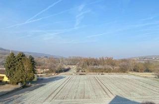 Wohnung kaufen in 55270 Schwabenheim, Mayence-Immobilien: Dachgeschosswohnung mit Fernblick in Feldrandlage!