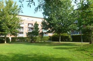 Wohnung mieten in Florentine-Eichler-Straße 40, 51067 Holweide, Großzügige 2 Zimmer Wohnung mit Dachterasse in Köln-Holweide - Wentzel-Dr.