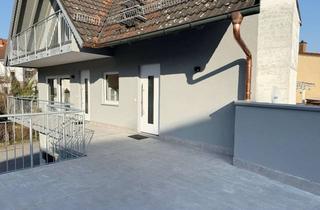 Wohnung mieten in 64720 Michelstadt, Möblierte 1-Zimmer Wohnung in Steinbach