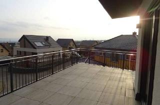 Wohnung mieten in Schöne Aussicht, 01705 Freital, Traumhafte 3-Zi.-Wohnung mit großer Dachterrasse & Dresden-Blick