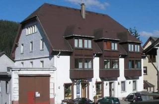 Wohnung mieten in 78120 Furtwangen, 2-Zimmer-Appartment / Stadtmitte