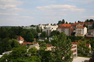 Lofts mieten in Schwanenstr. 28b, 66953 Pirmasens, Exklusives Wohnloft mit fantastischem Blick über den Pfälzer Wald
