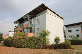 Sozialwohnungen mieten in Schulstraße 66, 65474 Bischofsheim, Nur mit WBS! Schöne 2 Zimmer Seniorenwohnung sucht Nachmieter (ab 60 Jahren oder mit Beeinträchtigun