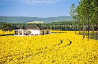 Haus kaufen in 08060 Marienthal, Ihr individuelles Traumhaus in Zwickau - Bungalow AMBIENCE 110 von Bien-Zenker