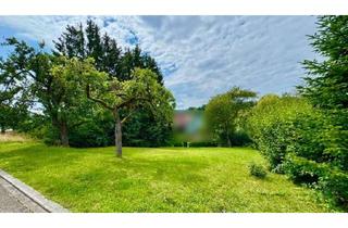 Einfamilienhaus kaufen in 97896 Freudenberg, Ihr individuelles Einfamilienhaus von Bien-Zenker in Rauenberg