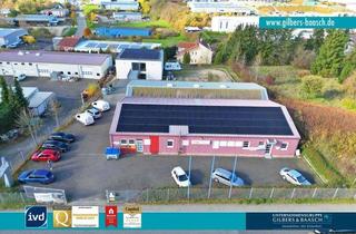 Gewerbeimmobilie kaufen in 54311 Trierweiler, Trierweiler: Attraktive Gewerbeimmobilie mit großer Halle und modernem Bürogebäude