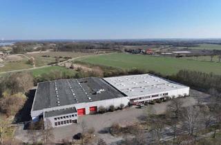 Gewerbeimmobilie kaufen in 21423 Winsen, Gewerbestandort in Winsen