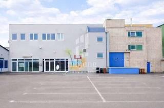 Gewerbeimmobilie mieten in 56856 Zell, ** Attraktive Gewerbefläche mit vielseitigen Nutzungsmöglichkeiten - Teilbar **