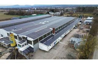 Büro zu mieten in Mittelfeldstraße, 76532 Sandweier, Moderne Gewerbehalle mit separatem Bürogebäude in verkehrsgünstiger Lage