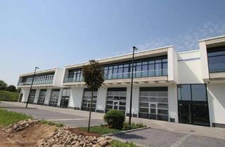 Büro zu mieten in 64625 Bensheim, Kompakt und repräsentativ: Hallen-/Bürokombination in Top-Lage - HR 4041 W6