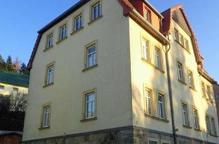 Anlageobjekt in 01855 Sebnitz, Mehrfamilienhaus in Sebnitz