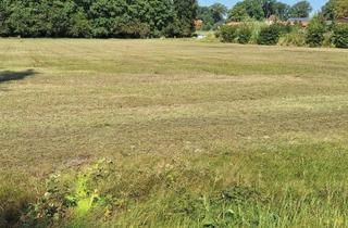 Grundstück zu kaufen in 29664 Walsrode, Traumhaftes, großes Baugrundstück in Hamwiede zu verkaufen