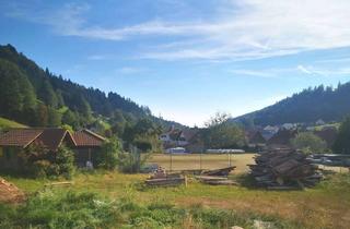 Grundstück zu kaufen in Kanderstraße, 79429 Malsburg-Marzell, Video Neu von der Naturlage für kleine und große Häuser in Malsburg