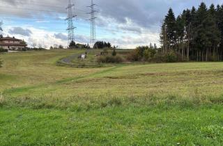 Grundstück zu kaufen in 56825 Beuren, Baugrundstück in Beuren – ca. 963 m² in schöner Ortsrandlage