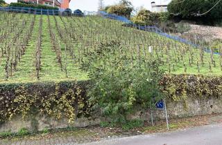 Grundstück zu kaufen in 56859 Alf, Baugrundstück mit Moselblick in Hanglage