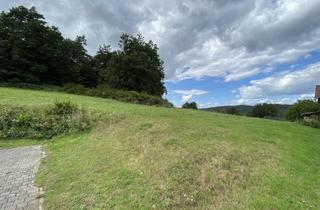 Grundstück zu kaufen in 54526 Landscheid, Voll erschlossenes Baugrundstück in herrlicher Ortsrandlage