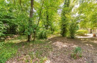 Grundstück zu kaufen in 15345 Rehfelde, Zentrumsnah in ruhiger Lage von Rehfelde! Bauträgerfreies und erschlossenes Grundstück