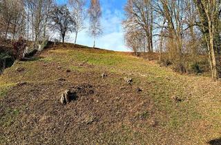 Grundstück zu kaufen in 63877 Sailauf, Grundstück mit außergewöhnlichem Potenzial in attraktiver Hanglage