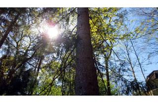 Grundstück zu kaufen in 21077 Eißendorf, Attraktives Baugrundstück mit vielfältigen Nutzungsmöglichkeiten