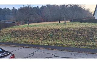 Grundstück zu kaufen in 72459 Albstadt, Großes Grundstück mit sensationeller Aussicht