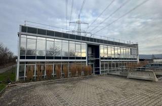 Büro zu mieten in Hanomagstraße 10, 31867 Lauenau, 870m² Bürofläche in Lauenau
