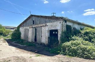 Immobilie kaufen in 17098 Friedland, Liegenschaft mit 254.234 m² - ehemaliger Landwirtschaftsbetrieb