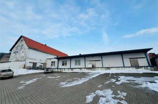 Gewerbeimmobilie kaufen in Käsereistr., 06536 Breitungen, Ehemalige Molkerei - ideal für Handwerks- oder Gewerbebetrieb