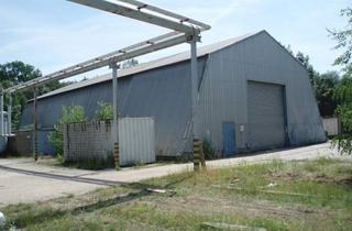 Gewerbeimmobilie mieten in Amtshäuser Str. 23-29, 06217 Merseburg, Gewerbegrundstück mit Hallen, Verwaltungs- und Nebengebäuden in Merseburg (Amtshausstraße ) – Einz