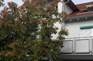 Wohnung mieten in 74193 Schwaigern, Helle 3-Zimmerwohnung mit großzügigem Wohn-/Essbereich!