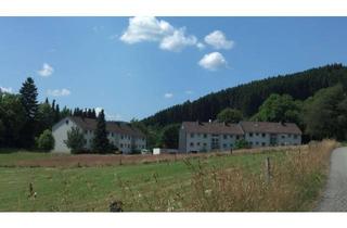 Wohnung mieten in Hinter Der Laie, 57319 Bad Berleburg, Wohnen in ruhiger Lage von Bad Berleburg-Aue