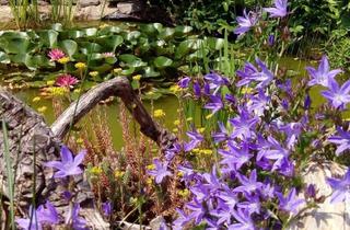 Doppelhaushälfte kaufen in 04603 Windischleuba, Gepflegte Doppelhaushälfte mit Garage und Sonnenterrasse in Windischleuba