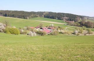 Haus kaufen in 84364 Bad Birnbach, DIPL.-Immowirt MAIER !! SELTENES REFUGIUM - HOF mit Reithalle samt 5 ha Grund arrondiert !!