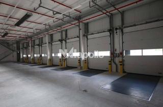 Gewerbeimmobilie mieten in 65835 Liederbach, 1500m² Lagerfläche | PROVISIONSFREI | ab sofort! | Rampe und ebenerdig