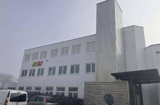 Büro zu mieten in Uhlmannstr. 41, 88471 Laupheim, Büroflächen zu vermieten