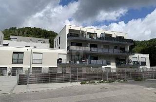 Wohnung kaufen in 79669 Zell, Zell im Wiesental - NEUWERTIG - MODERN - MIT GARTENANTEIL