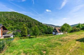 Immobilie kaufen in 35216 Biedenkopf, Alpenflair in Mittelhessen - idyllisch gelegenes Grundstück mit Bergpanorama