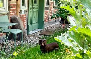 Haus kaufen in 29494 Trebel, PROVISIONSFREI - Nachhaltige Baumaterialien - Zwei hochwertig sanierte Landhäuser in Ortsrandlage