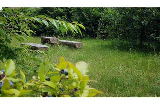 Einfamilienhaus kaufen in 30659 Hannover, Hannover - grün ruhig zentral Baugrundstück EFH Haus Hannover Bothfeld Lahe