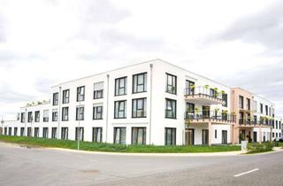 Wohnung kaufen in 61203 Reichelsheim, Langfristig vermietetes Pflegeappartement!