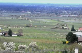 Wohnung kaufen in 67433 Haardt, Erstklassiger Weitblick - 4-Zimmerwohnung Neustadt-Haardt