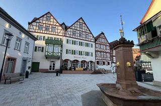 Wohnung kaufen in 63619 Bad Orb, AS-Immobilien.com+++Grundbuch statt Sparbuch - vermietete Eigentumswohnung im Herzen von Bad Orb+++