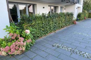 Wohnung mieten in 53474 Bad Neuenahr-Ahrweiler, Grundsanierte, ruhige 2,5-Raum-Erdgeschosswohnung mit Terrasse oberhalb Kurviertel in Bad Neuenahr