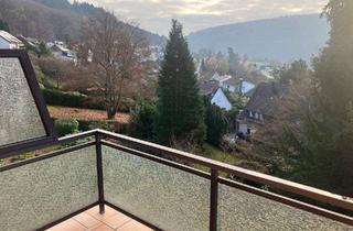 Wohnung mieten in Peter-Schnellbach-Straße 28, 69151 Neckargemünd, 2-Zimmer Wohnung mit Ausblick